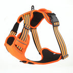 Orange / S