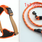 Orange  set2 / M