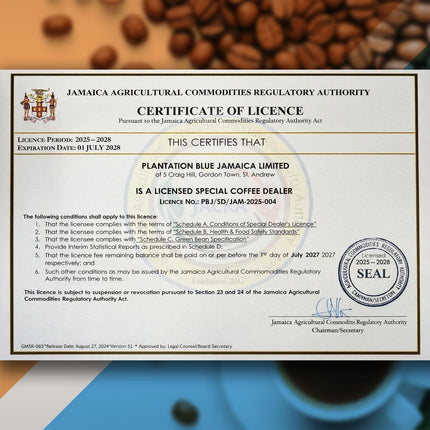 PREMIUM PLANTATION BLUE TRADITION CLASS EXPERIENCE 100% Blue Mountain Coffee Jamaica, Medium Roasted & Ground (8oz)
