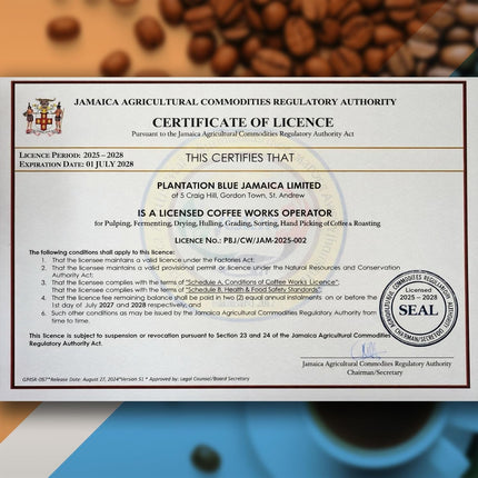 PREMIUM PLANTATION BLUE TRADITION CLASS EXPERIENCE 100% Blue Mountain Coffee Jamaica, Medium Roasted & Ground (8oz)