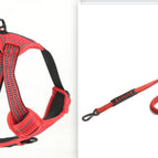 Red  set1 / L