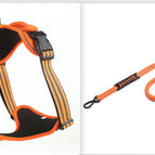 Orange  set1 / L